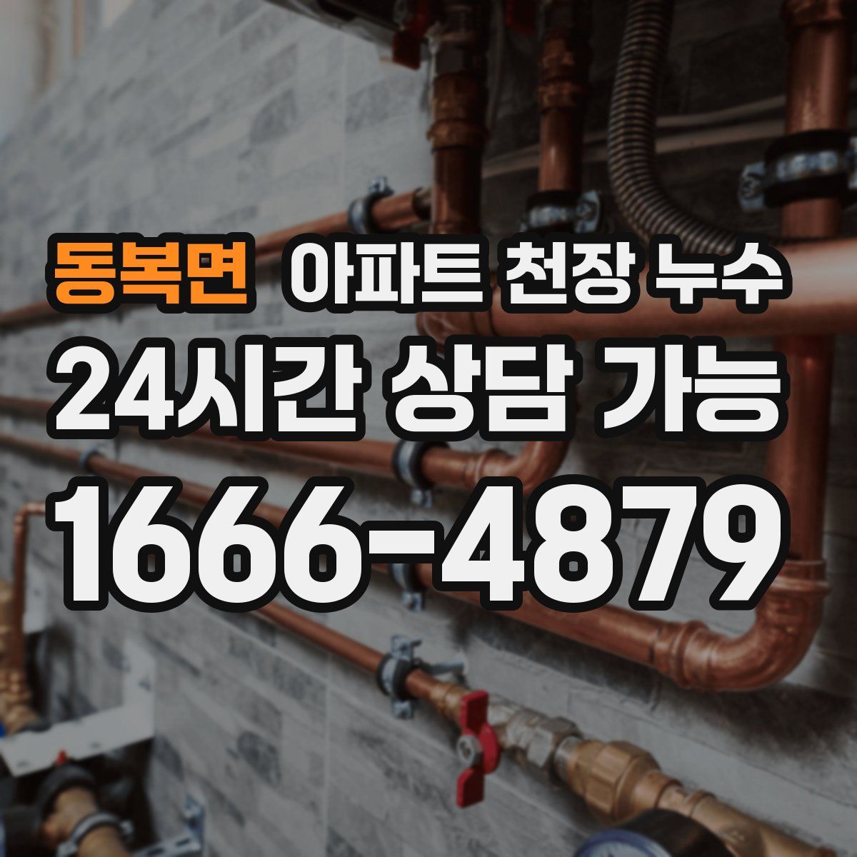 동복면 아파트 천장 누수