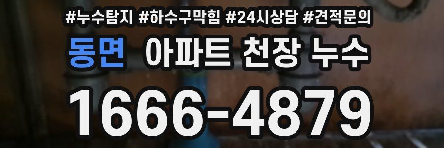 동면 아파트 천장 누수