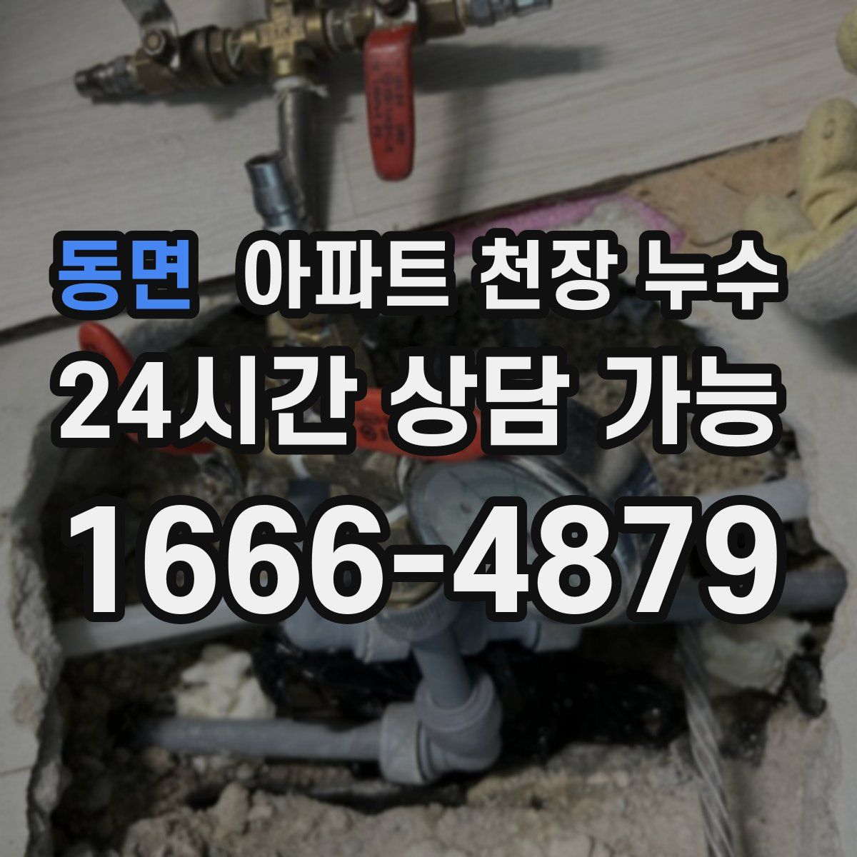 동면 아파트 천장 누수