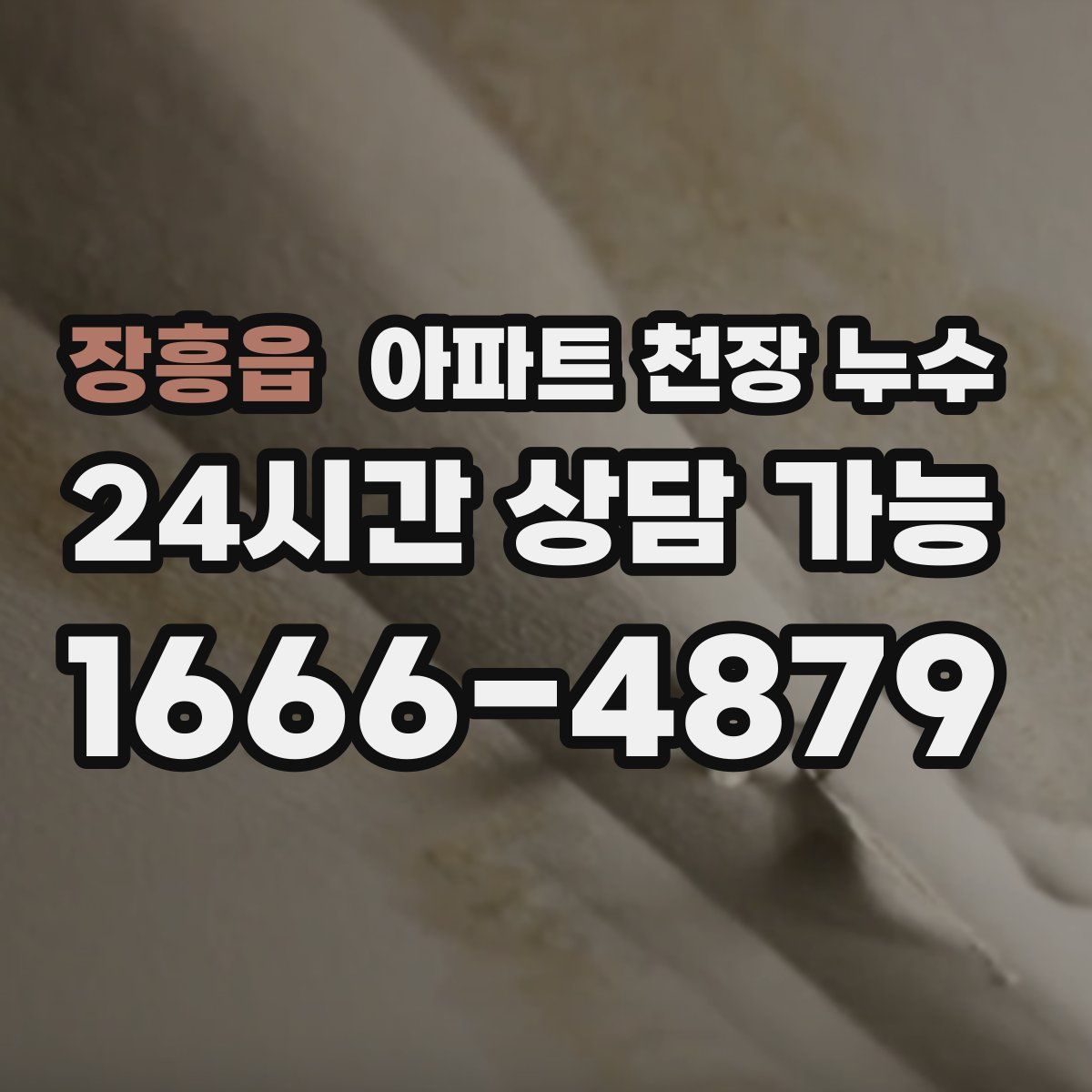장흥읍 아파트 천장 누수
