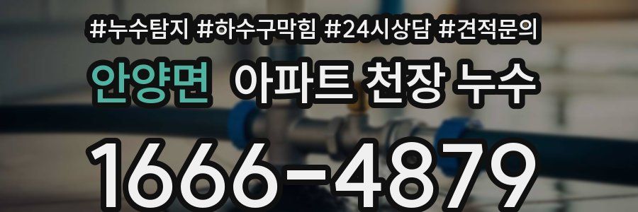 안양면 아파트 천장 누수