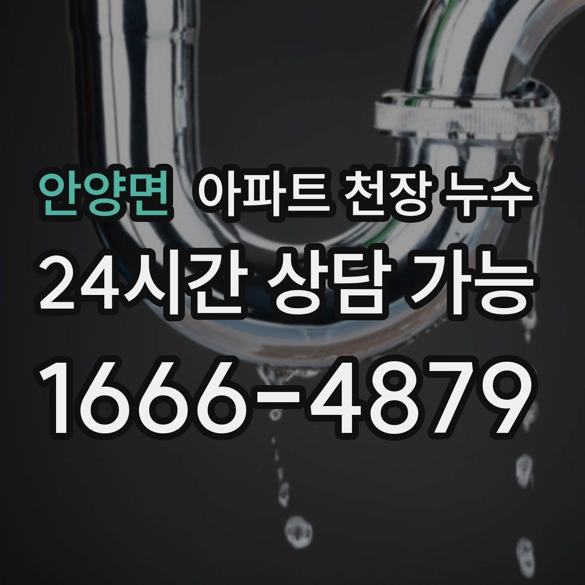 안양면 아파트 천장 누수