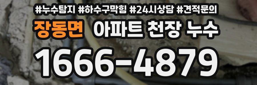 장동면 아파트 천장 누수