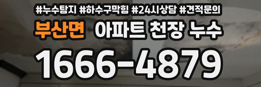 부산면 아파트 천장 누수