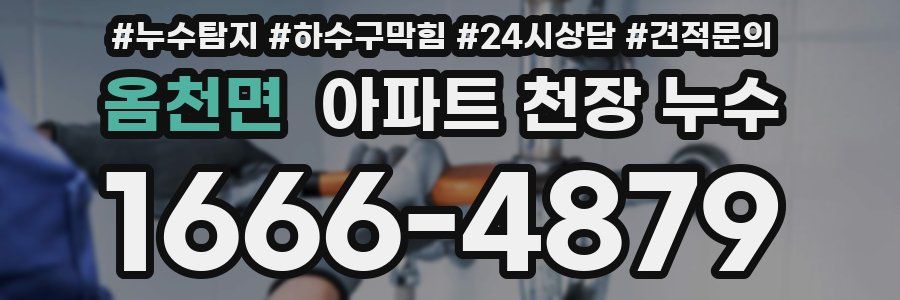 옴천면 아파트 천장 누수