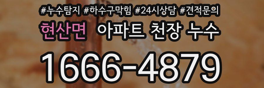 현산면 아파트 천장 누수