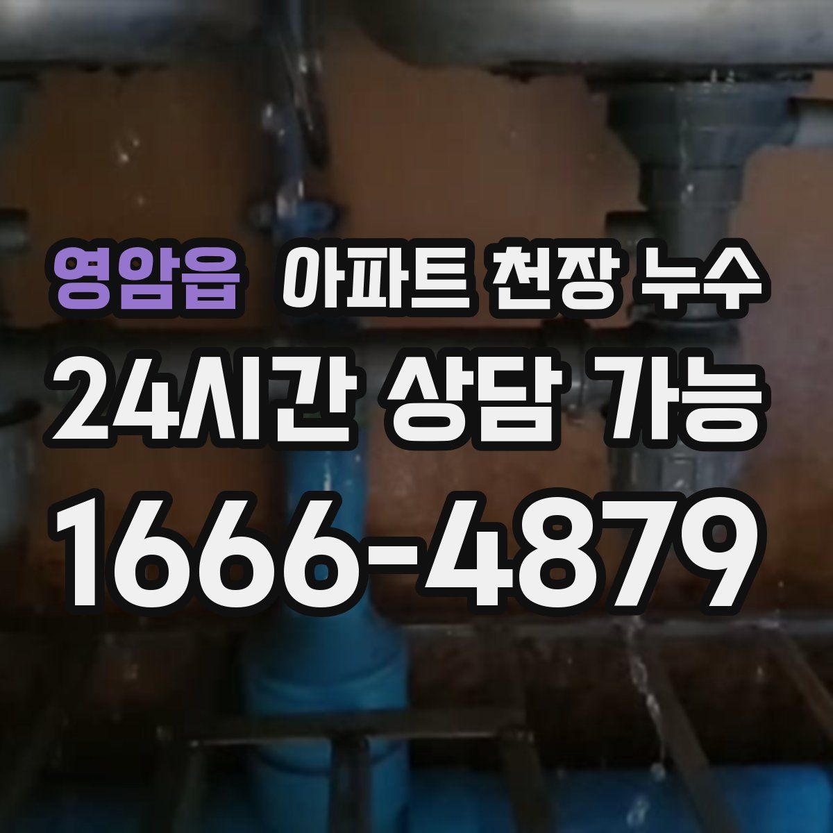 영암읍 아파트 천장 누수