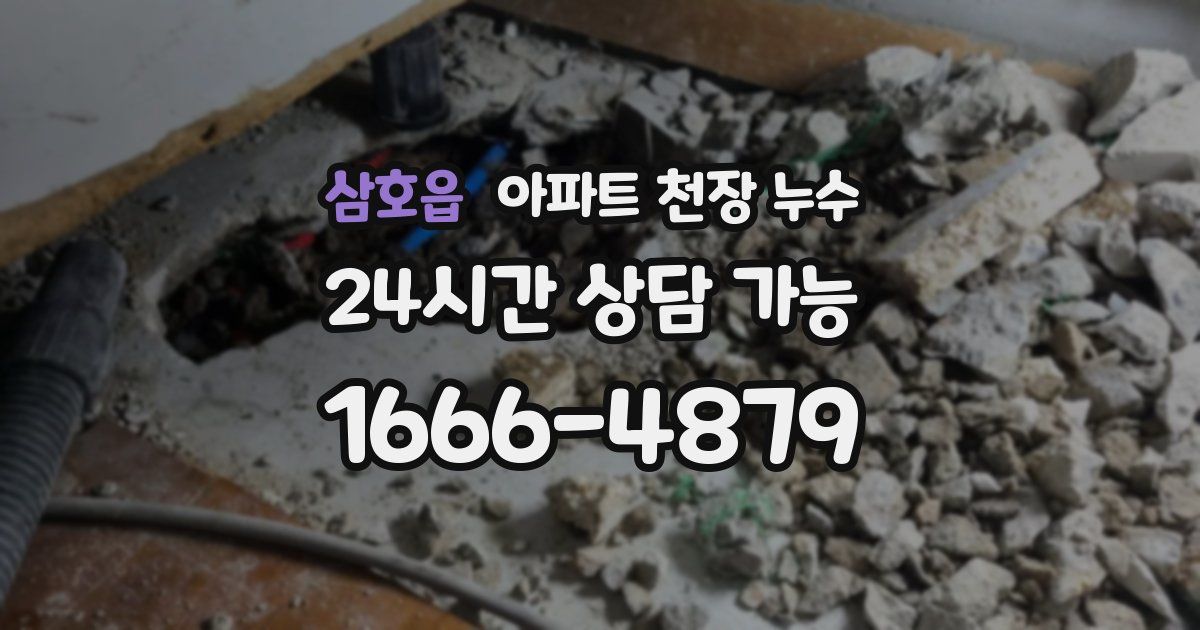 삼호읍 아파트 천장 누수