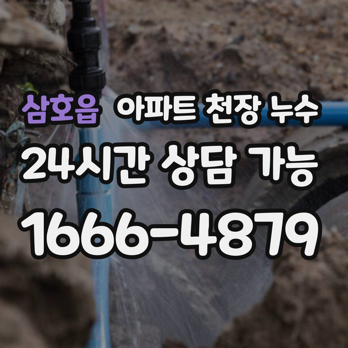 삼호읍 아파트 천장 누수