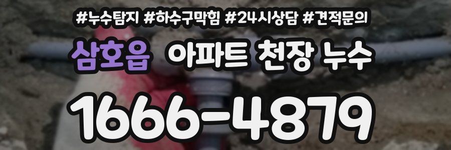 삼호읍 아파트 천장 누수