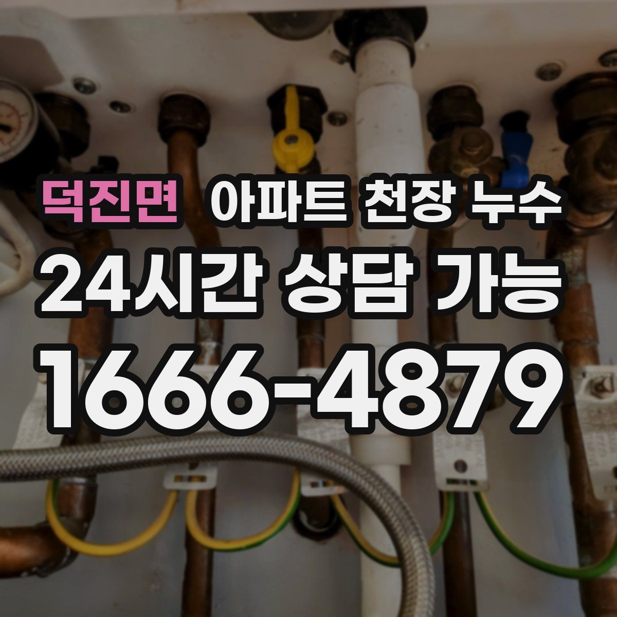 덕진면 아파트 천장 누수