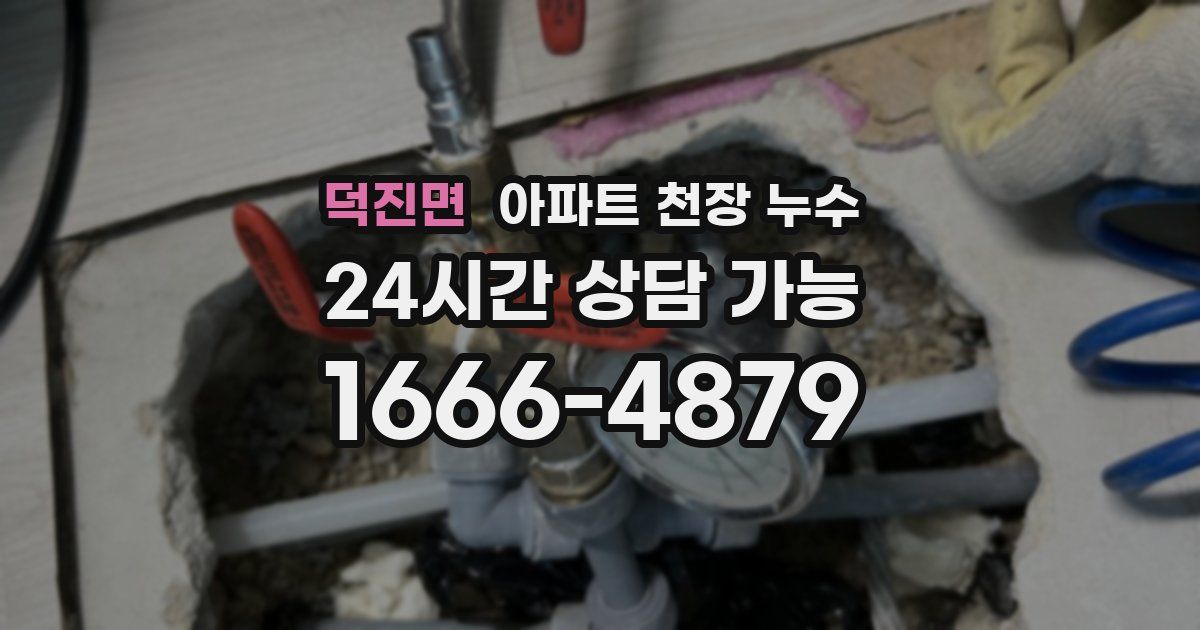 덕진면 아파트 천장 누수