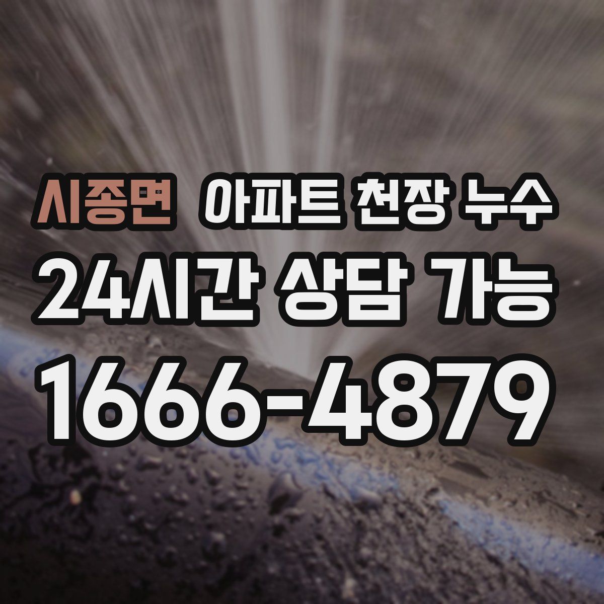 시종면 아파트 천장 누수