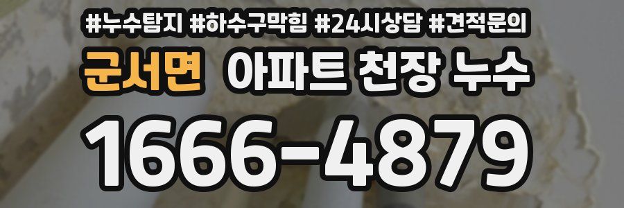 군서면 아파트 천장 누수