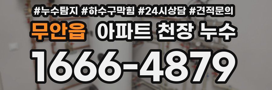 무안읍 아파트 천장 누수