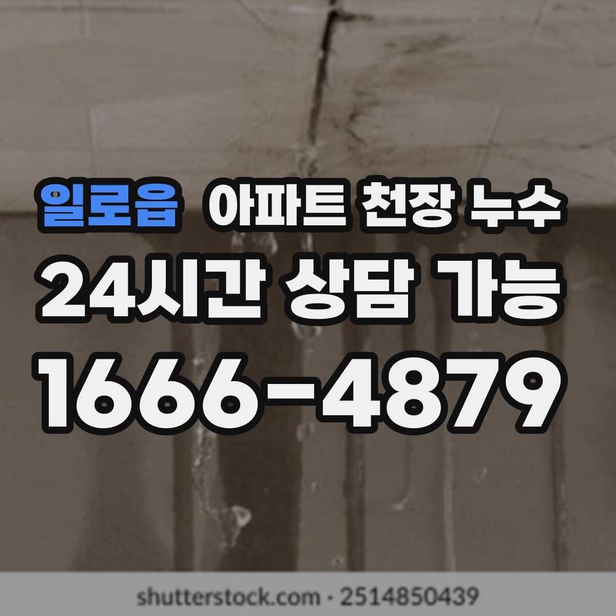 일로읍 아파트 천장 누수