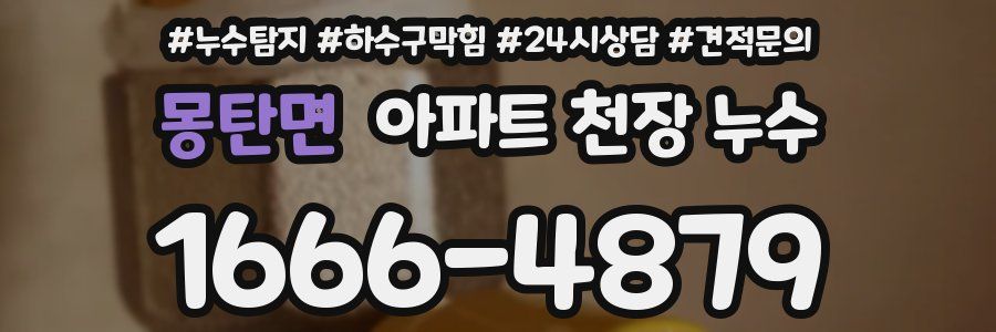 몽탄면 아파트 천장 누수