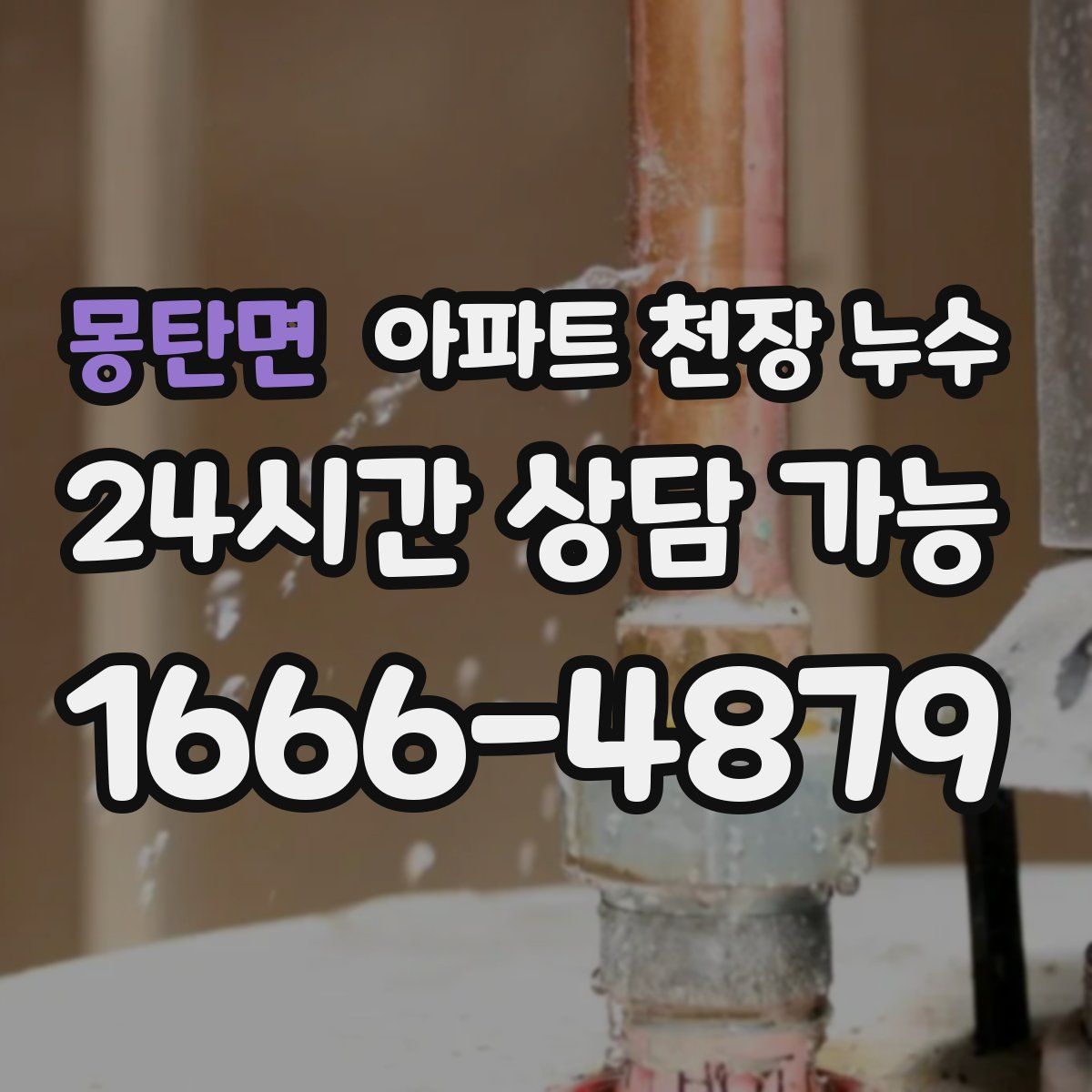 몽탄면 아파트 천장 누수