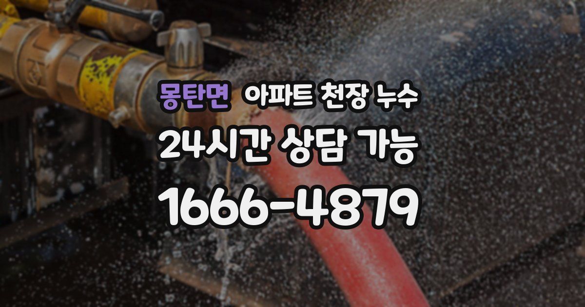 몽탄면 아파트 천장 누수