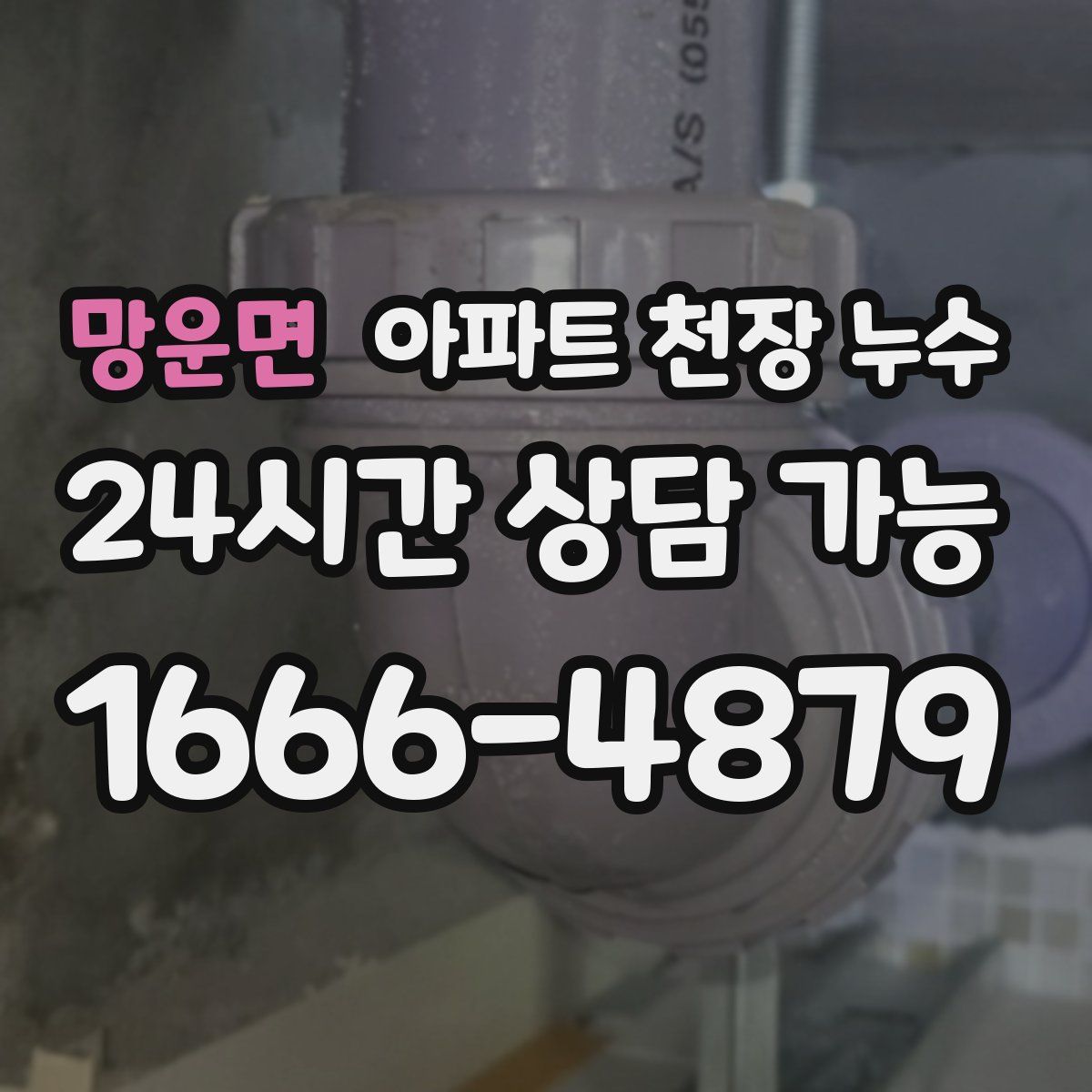 망운면 아파트 천장 누수