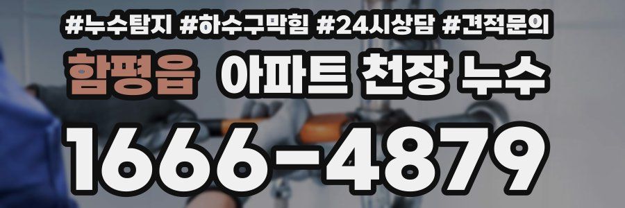 함평읍 아파트 천장 누수