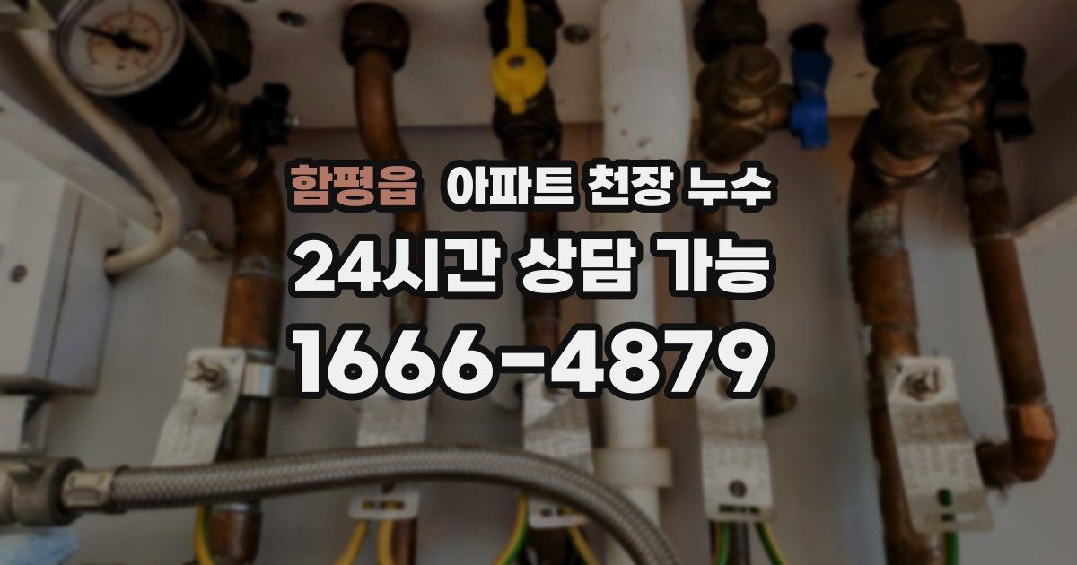 함평읍 아파트 천장 누수