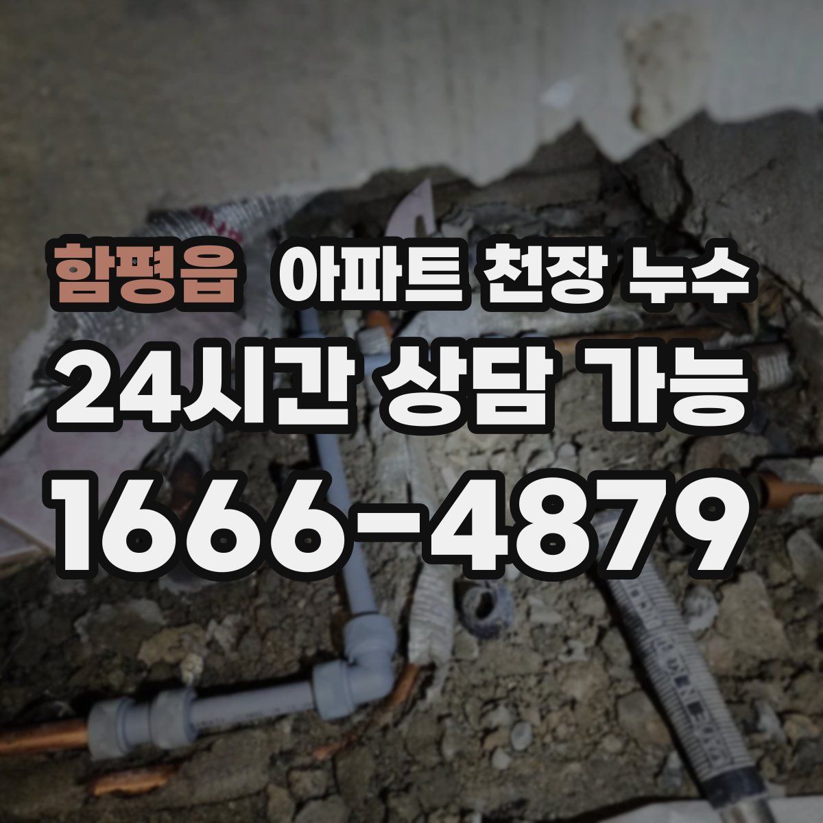 함평읍 아파트 천장 누수