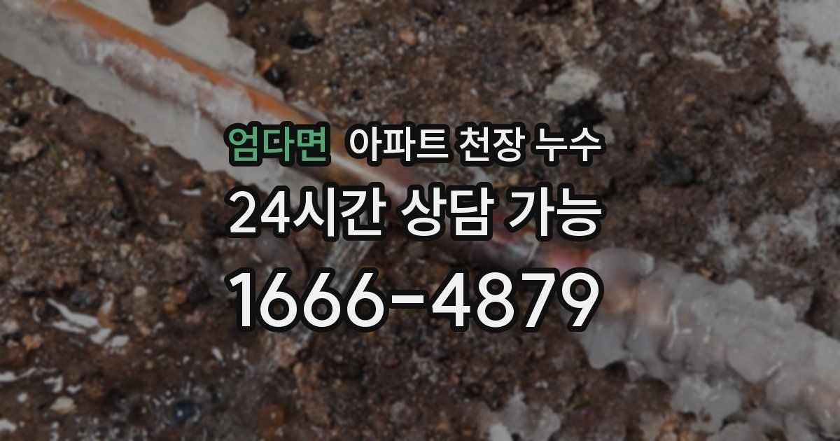 엄다면 아파트 천장 누수