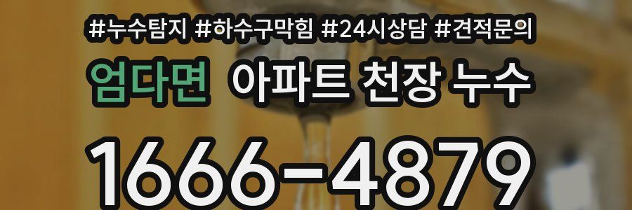 엄다면 아파트 천장 누수