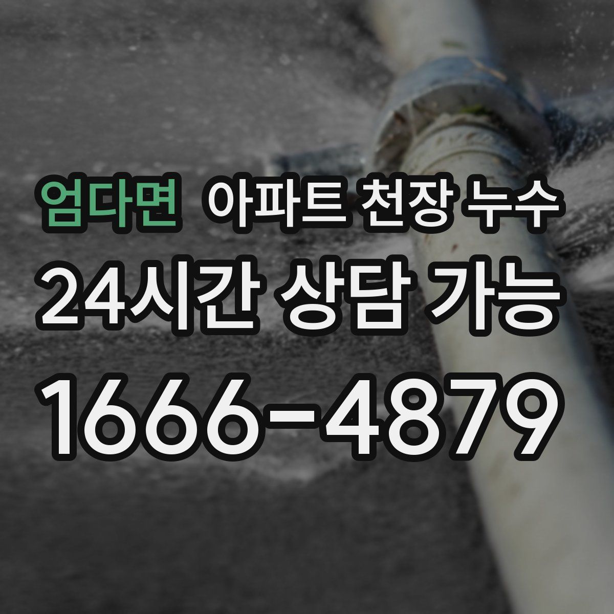 엄다면 아파트 천장 누수