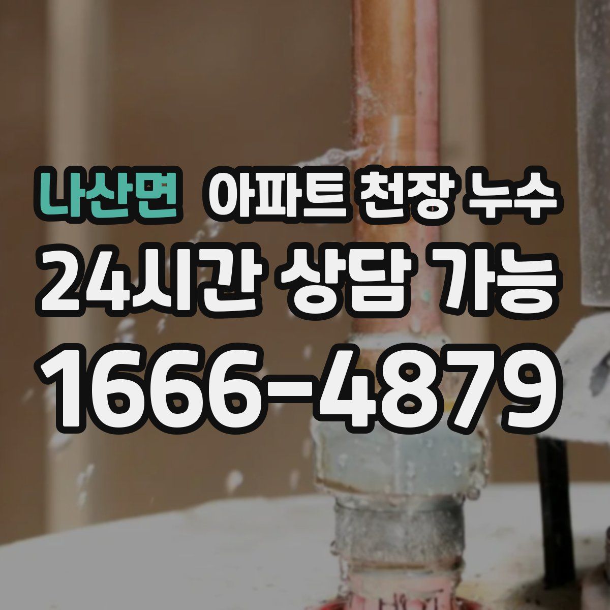 나산면 아파트 천장 누수