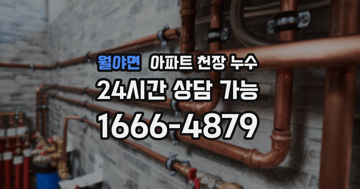 월야면 아파트 천장 누수