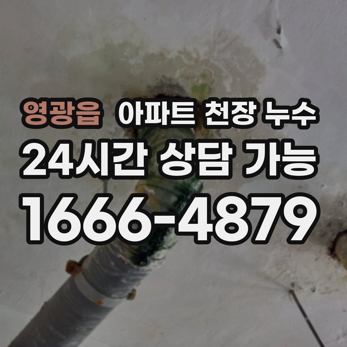 영광읍 아파트 천장 누수