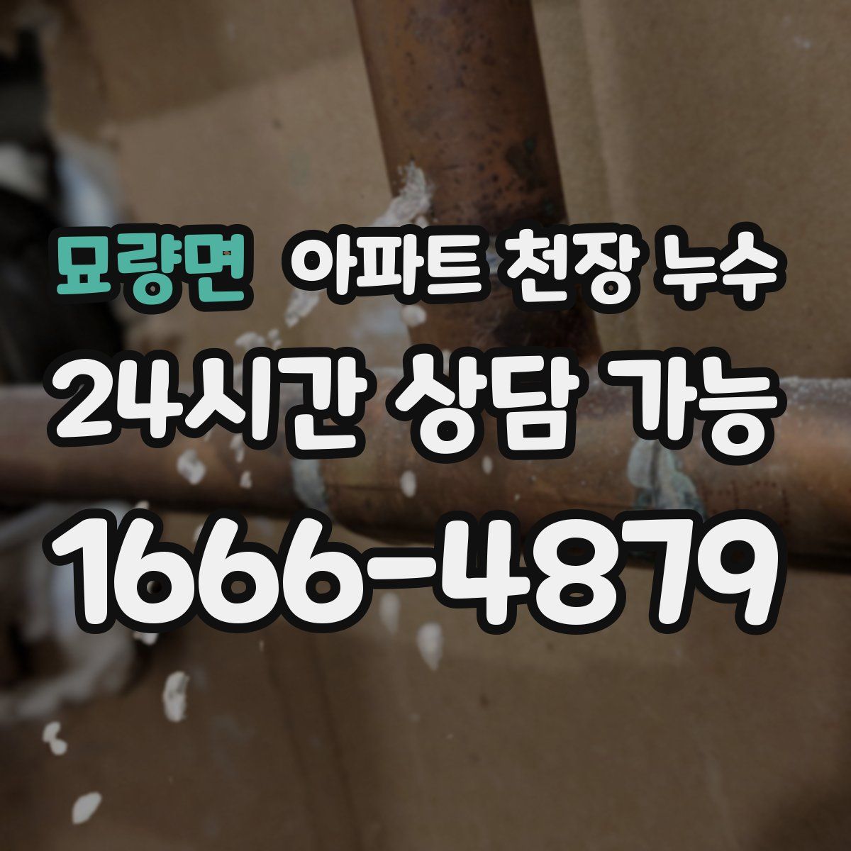 묘량면 아파트 천장 누수