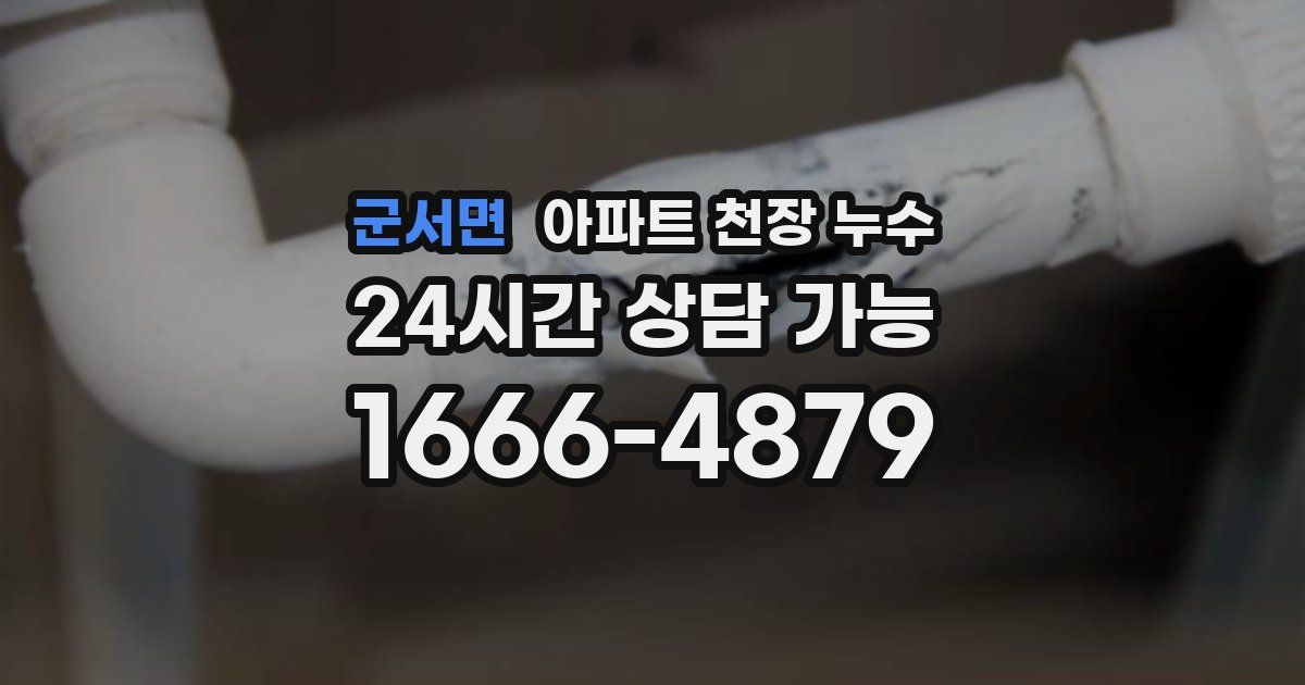 군서면 아파트 천장 누수