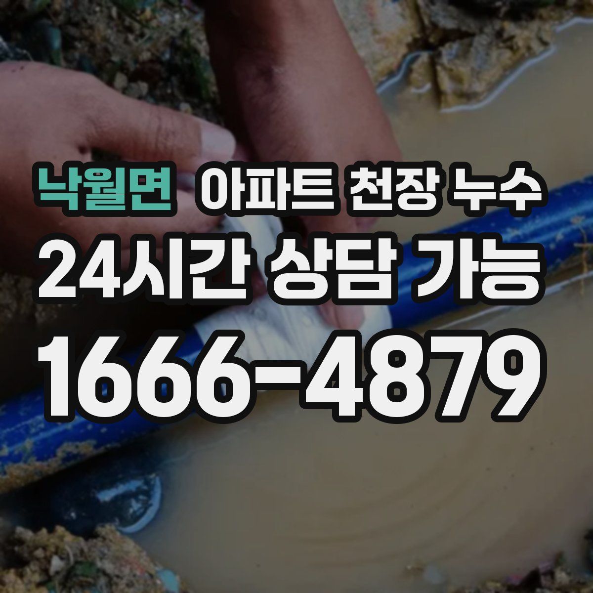낙월면 아파트 천장 누수