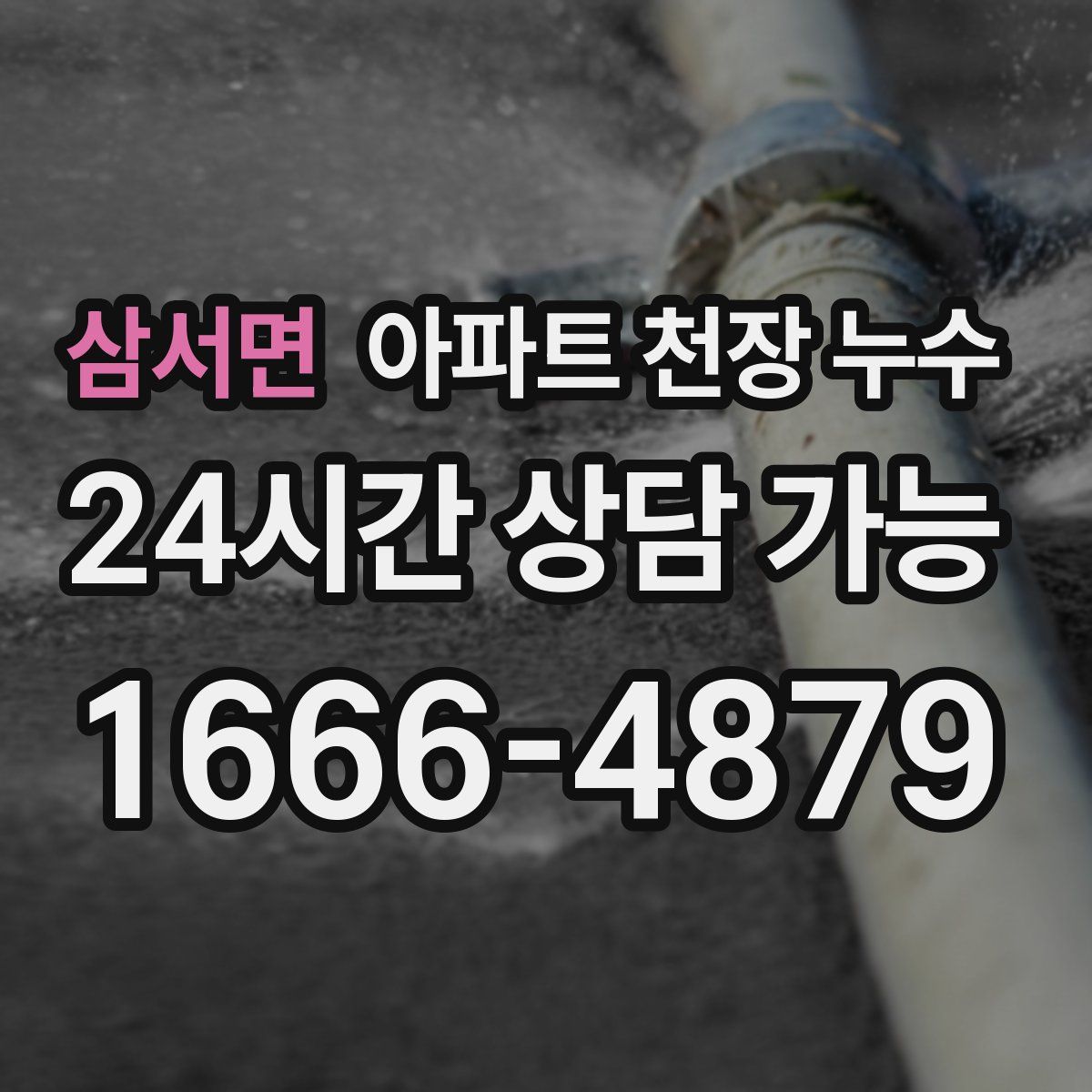 삼서면 아파트 천장 누수