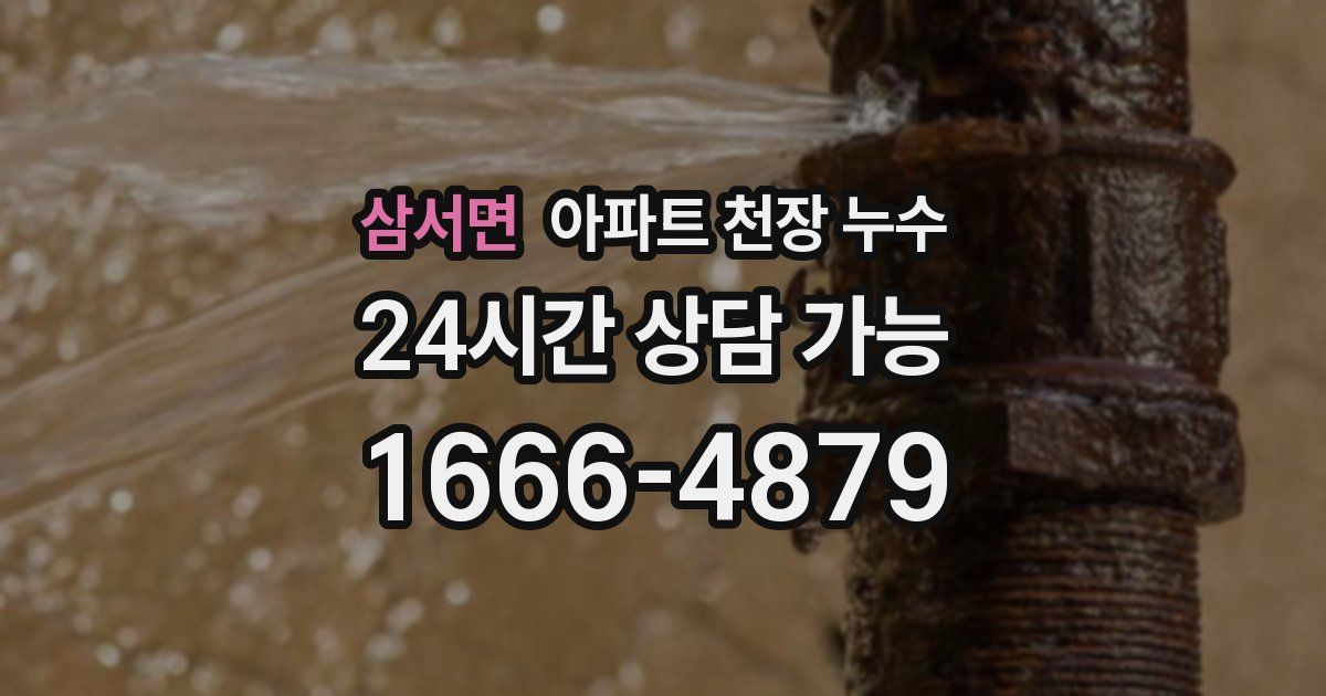 삼서면 아파트 천장 누수