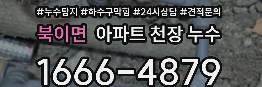 북이면 아파트 천장 누수