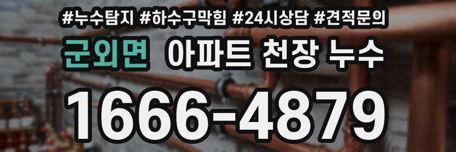 군외면 아파트 천장 누수