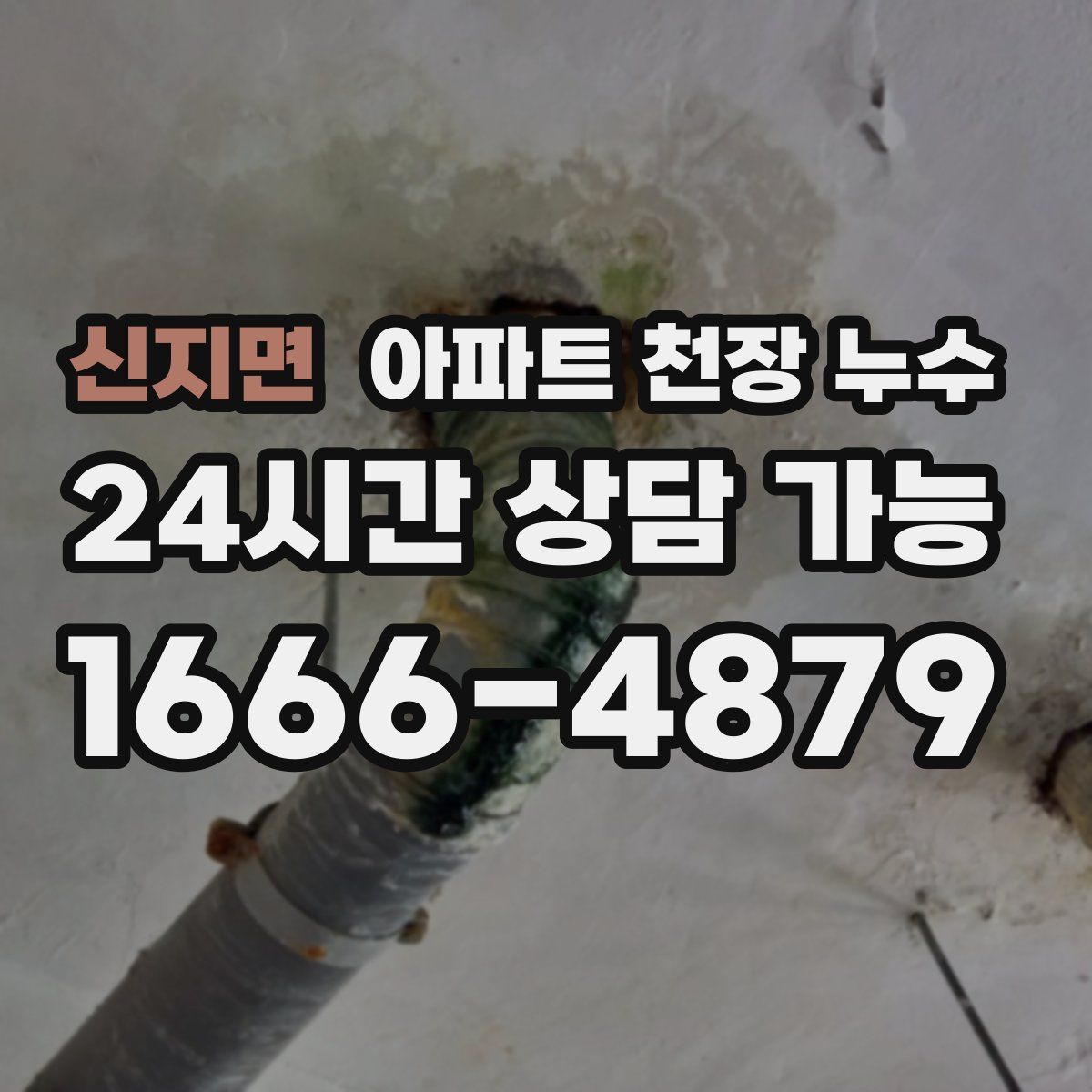 신지면 아파트 천장 누수