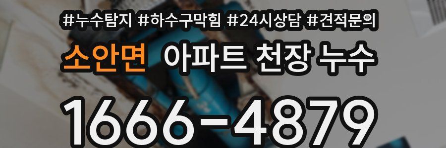 소안면 아파트 천장 누수