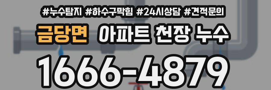금당면 아파트 천장 누수