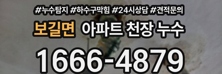 보길면 아파트 천장 누수