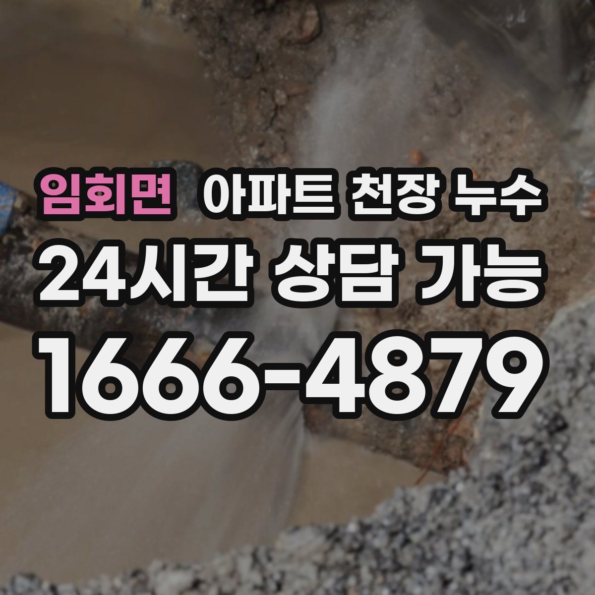 임회면 아파트 천장 누수