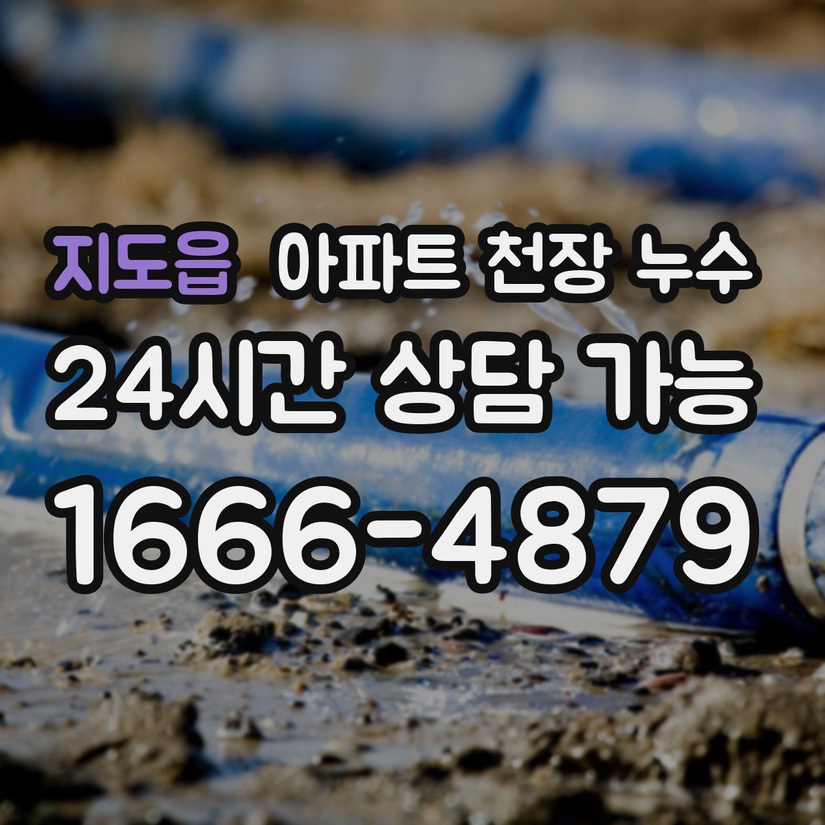 지도읍 아파트 천장 누수