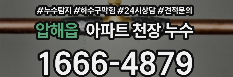 압해읍 아파트 천장 누수