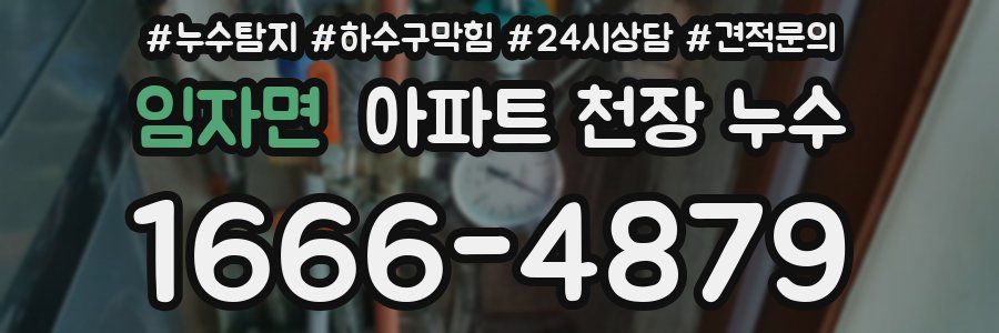 임자면 아파트 천장 누수