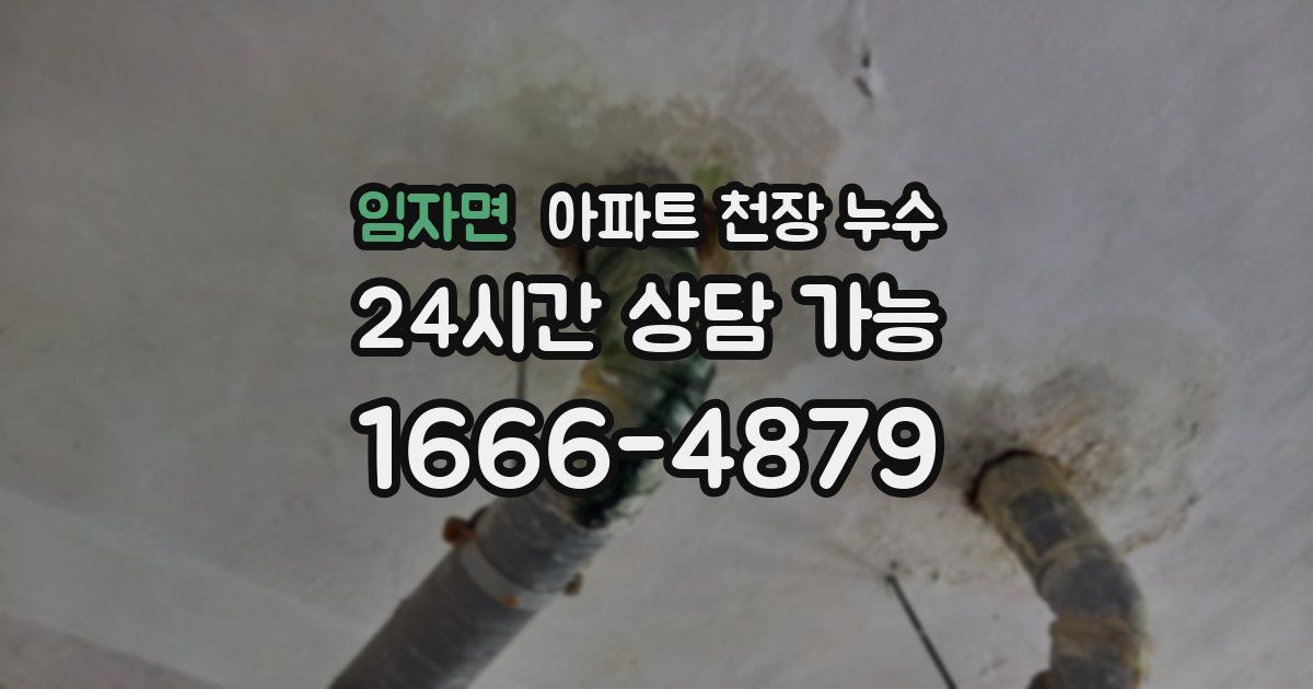 임자면 아파트 천장 누수