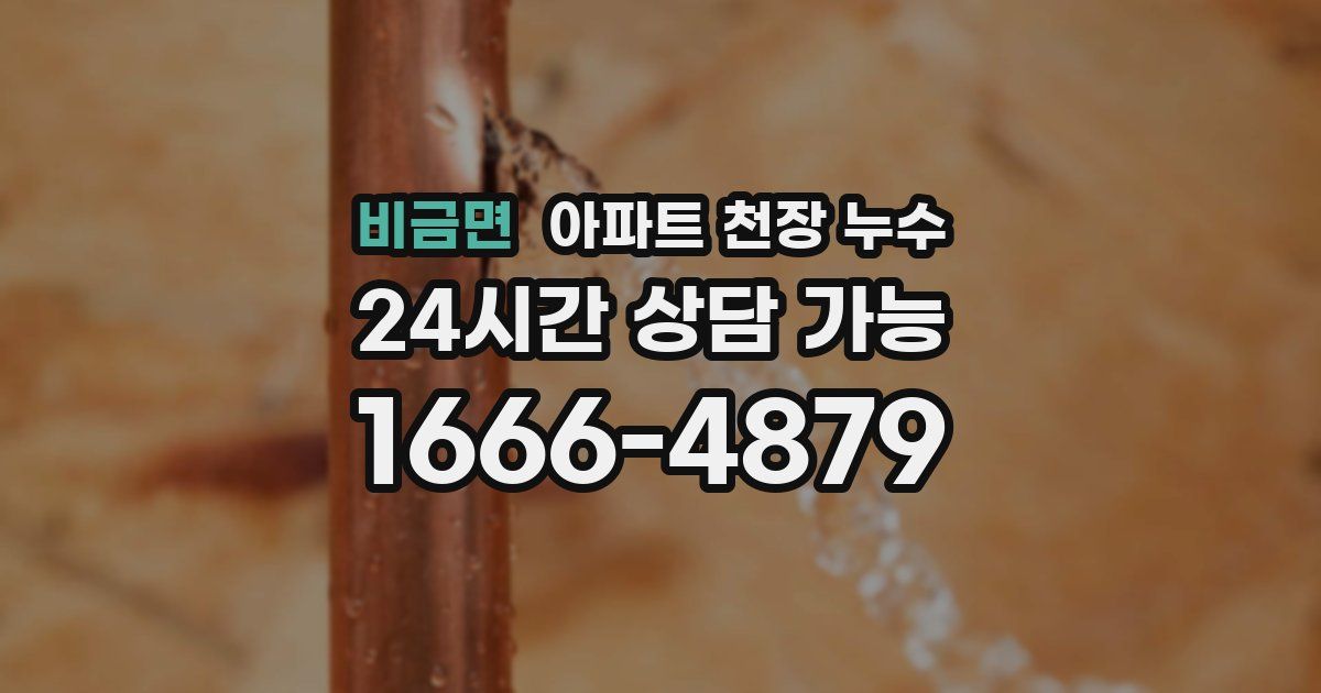비금면 아파트 천장 누수